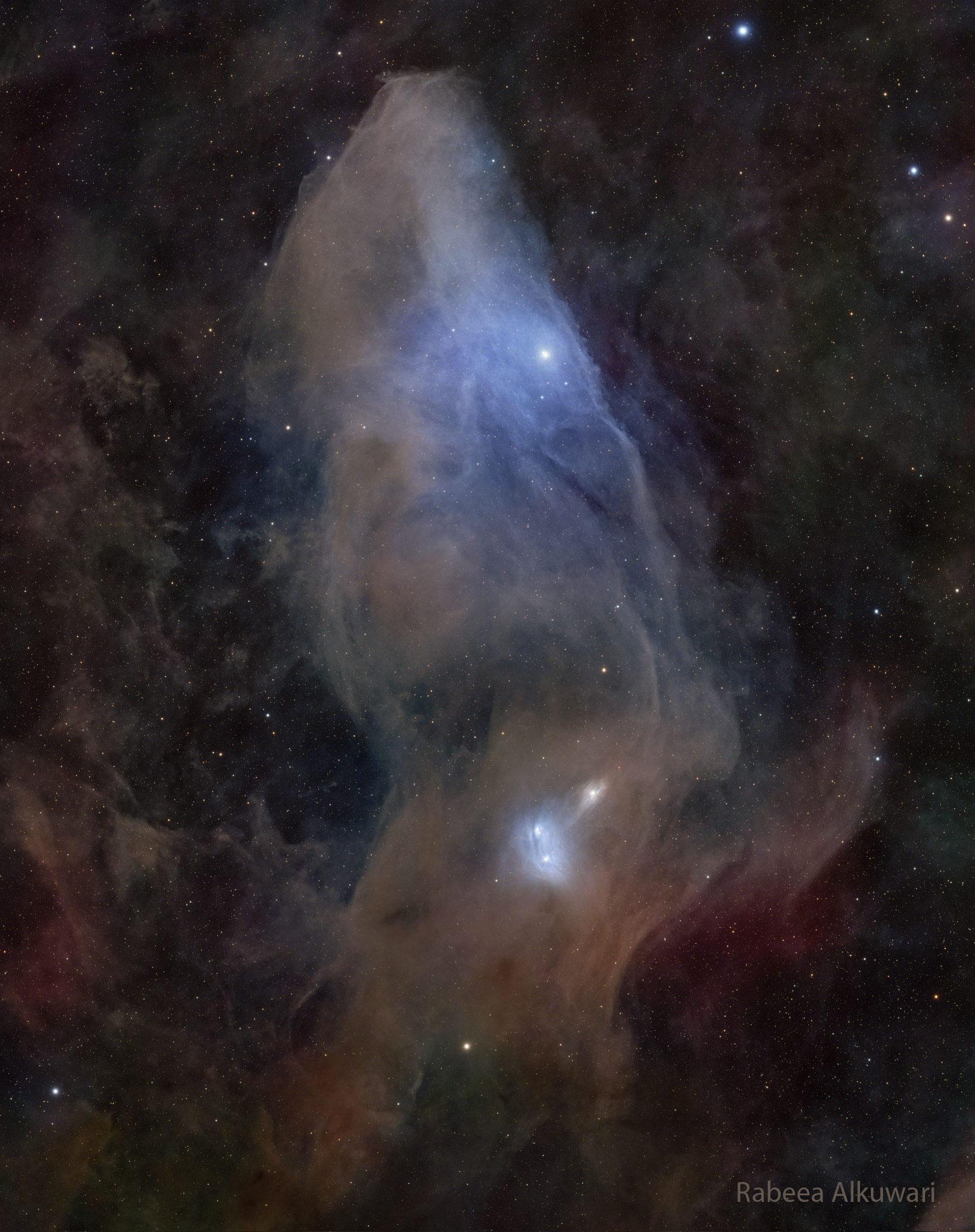 IC 4592: The Blue Horsehead Reflection Nebula