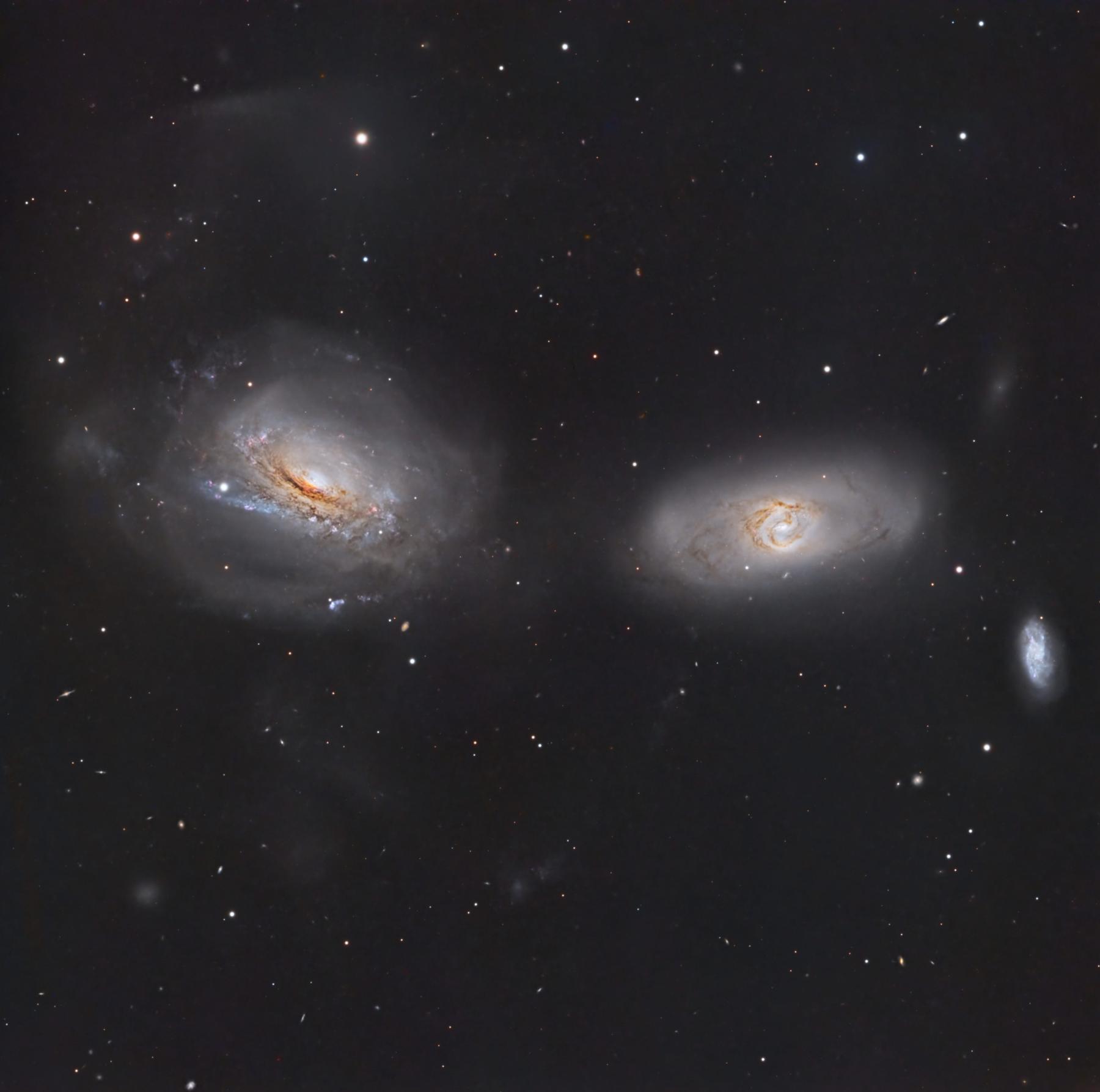 Unraveling NGC 3169