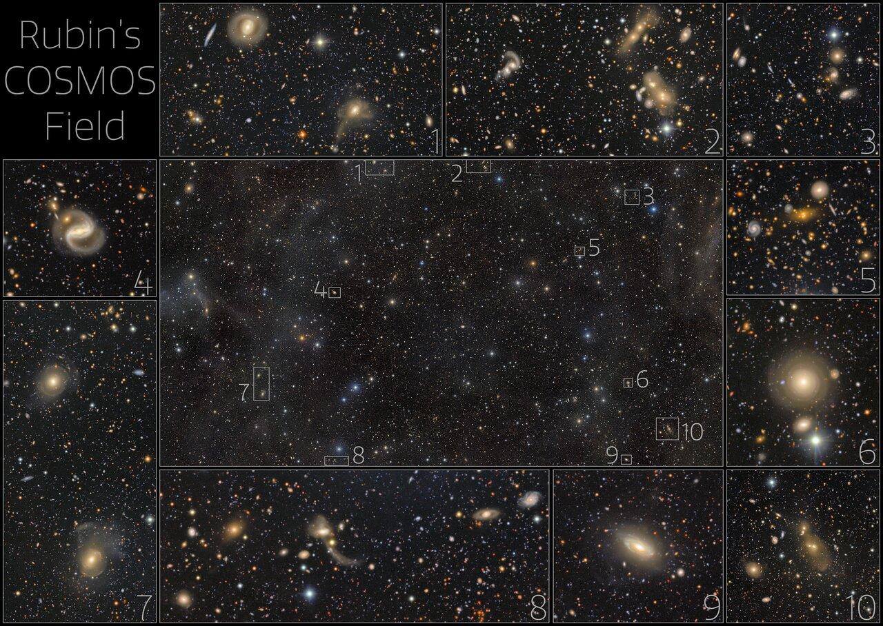 Rubin’s Cosmos Field