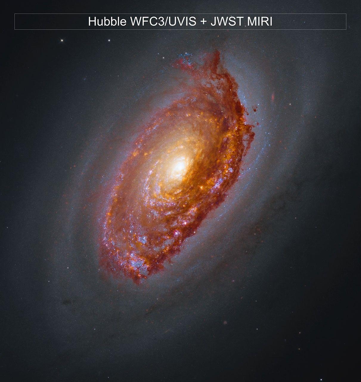 Webb’s View of M64