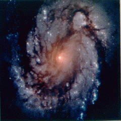 Spiral Galaxy M100