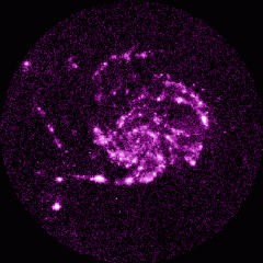 An Ultraviolet Image of M101