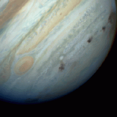 Comet Impacts on Jupiter