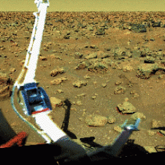 The Search for Life on Mars