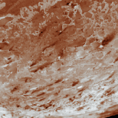 Geysers on Triton
