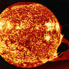 The Sun Erupts