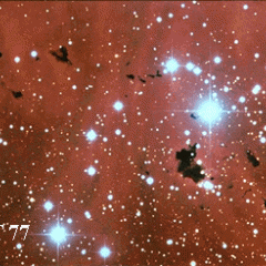 Dark Bok Globules in IC 2944