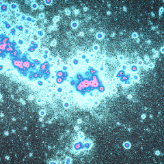 LMC Star Clouds