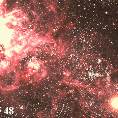 The Tarantula and the Supernova