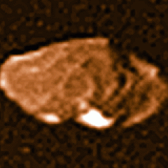 Jupiter’s Moon Amalthea
