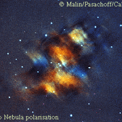 M1: Polarization of the Crab