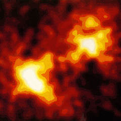 An X-ray Hot Supernova in M81