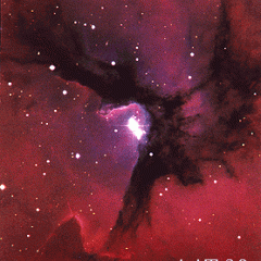 Hot Stars in the Trifid Nebula