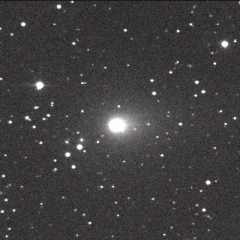 Hyakutake: The Great Comet of 1996?