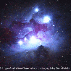 NGC 1977: Blue Reflection Nebula in Orion