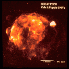 Vela Supernova Remnant in X-ray
