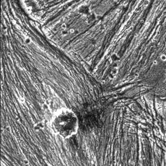 Ganymede: A Really Groovy Moon