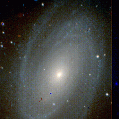 M81 in True Color