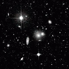 The Hydra Cluster of Galaxies
