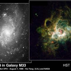 NGC 604: Giant Stellar Nursery in M33