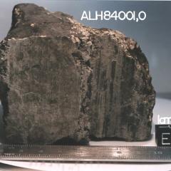 A Meteorite From Mars