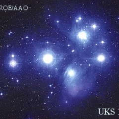 The Pleiades Star Cluster