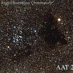 Bright Stars and Dark Clouds