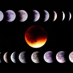 Tonight: A Total Lunar Eclipse