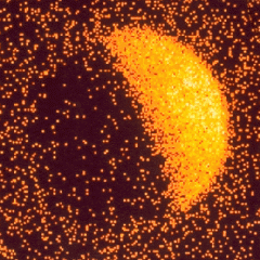 The X-Ray Moon