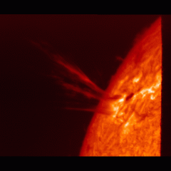 A Solar Corona Ejection