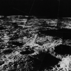 Surveyor Hops
