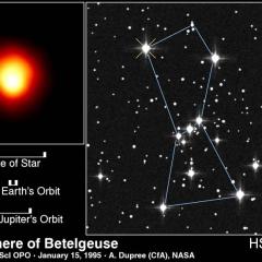Betelgeuse, Betelgeuse, Betelgeuse