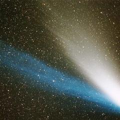 Springtime Comet Fever