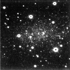 The Closest Galaxy: The Sagittarius Dwarf