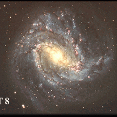 Spiral Galaxy M83