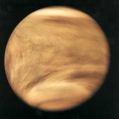 Ultraviolet Venus