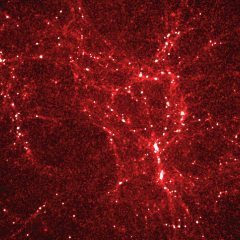 The Early Universe