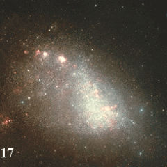 The Small Cloud of Magellan
