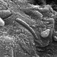 Pictured: An Ancient Martian