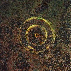 Echoes of Supernova 1987A