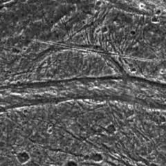 Mysterious Features on Ganymede