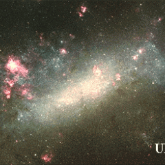 The Large Cloud Of Magellan (LMC)