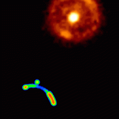 A Bulls Eye Einstein Ring