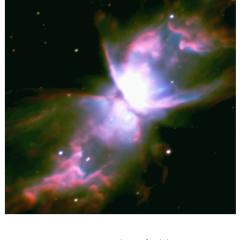 NGC 6302: The Butterfly Nebula