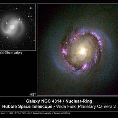 NGC 4314: A Nuclear Starburst Ring