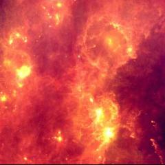 IRAS Orion