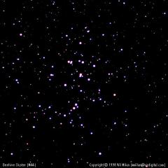 M44: A Beehive of Stars
