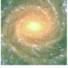 Spiral Galaxy NGC 1232