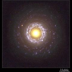 Seyfert Galaxy NGC 7742