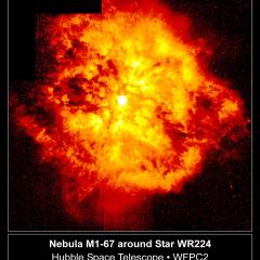 WR124: Stellar Fireball